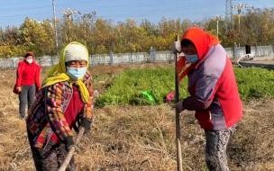 没有退休金的人老了怎么生活 没有退休金的老人如何养老