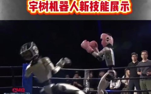 机甲格斗（机甲格斗大赛）