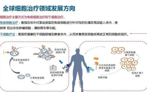 干细胞疗法\（干细胞疗法可以治疗哪些病）