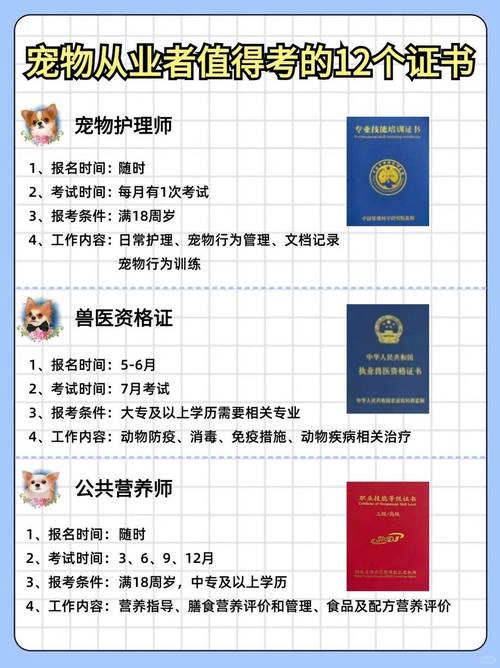 宠物护理(宠物护理师资格证怎么考)