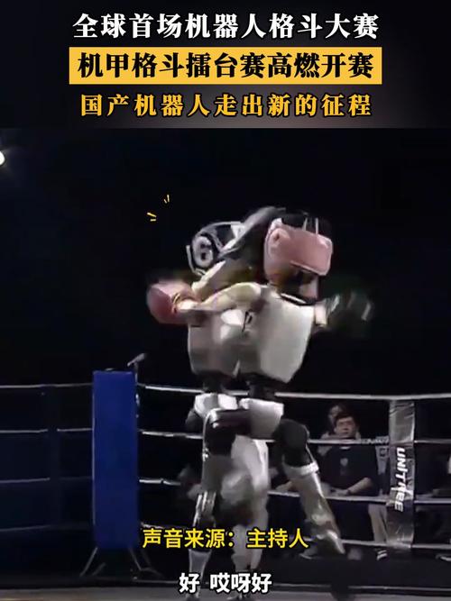 机甲格斗(机甲格斗大赛)