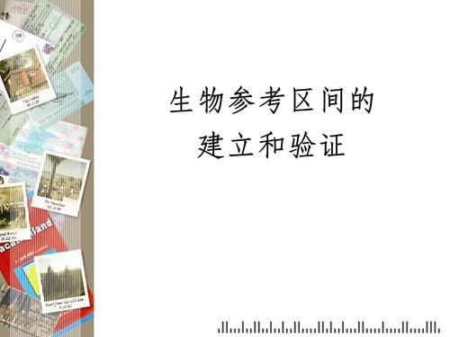 参考资料验证器(参考资料验证器怎么用)