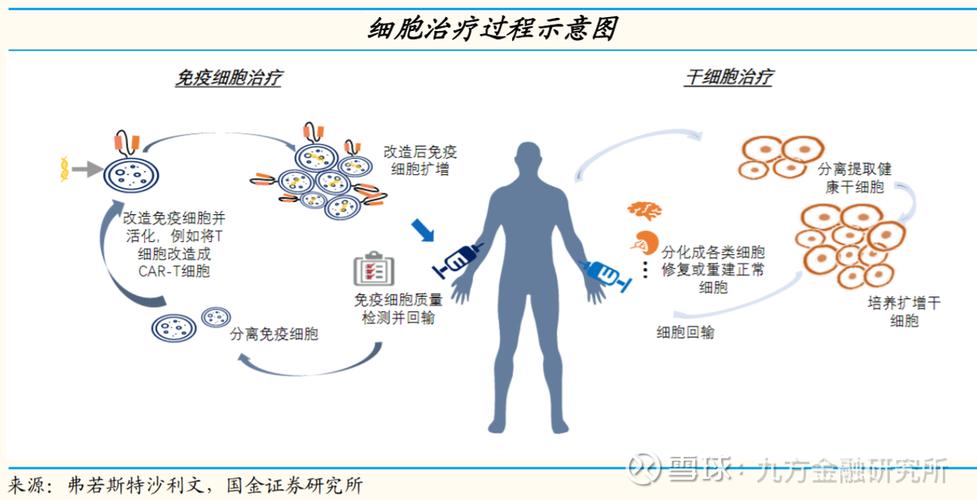 干细胞疗法\(干细胞疗法可以治疗哪些病)