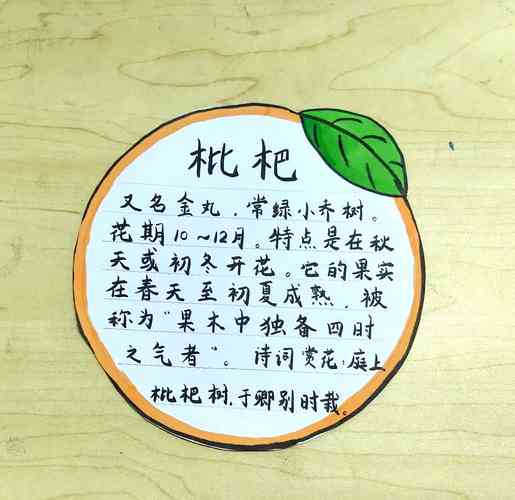 百科名片优化(百度百科名片制作)
