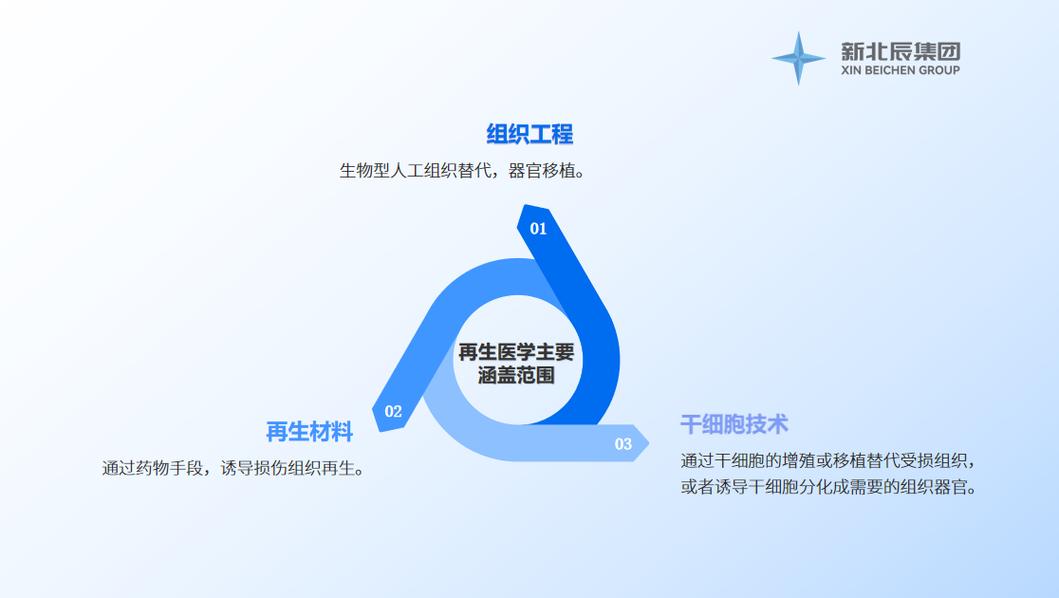 再生医学突破(再生医学即将)