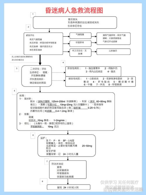 急救措施（急救措施的正确步骤）