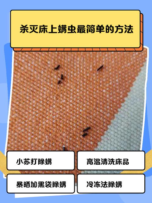 床品除螨(床品除螨虫最好的办法最有效的方法)