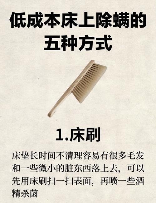 床品除螨(床品除螨虫最好的办法最有效的方法)
