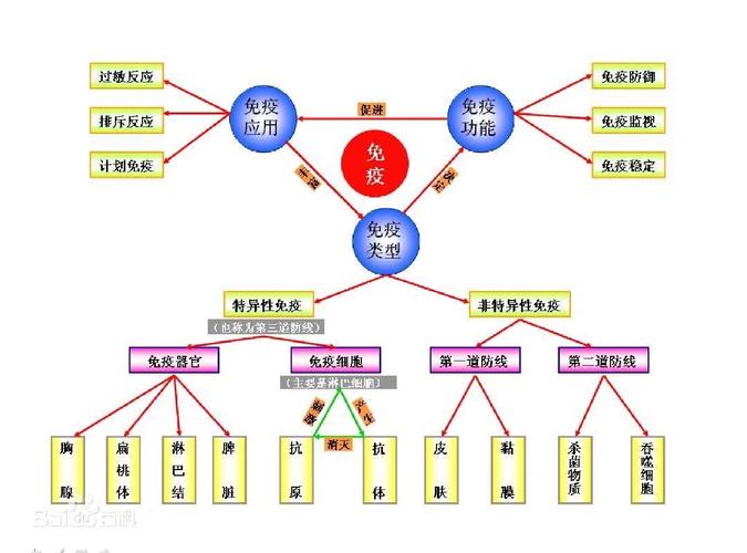 疫苗免疫机制(疫苗接种的免疫学机制)