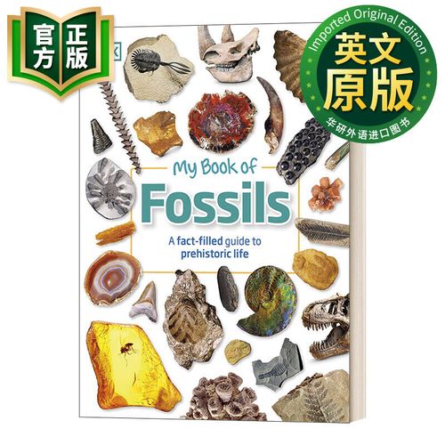 恐龙化石\(恐龙化石英语)