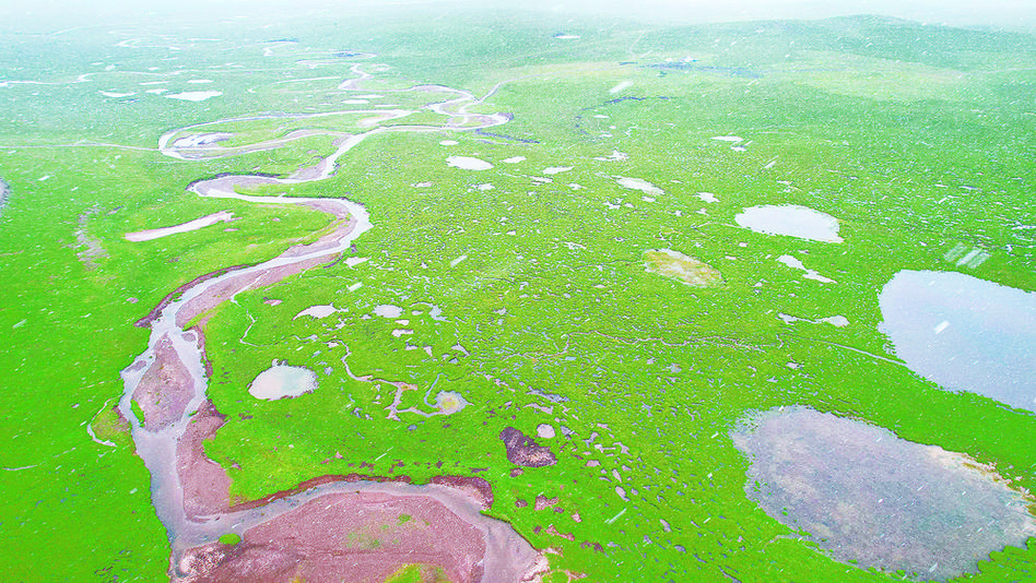 长江源湿地\（长江湿地公园开放时间）