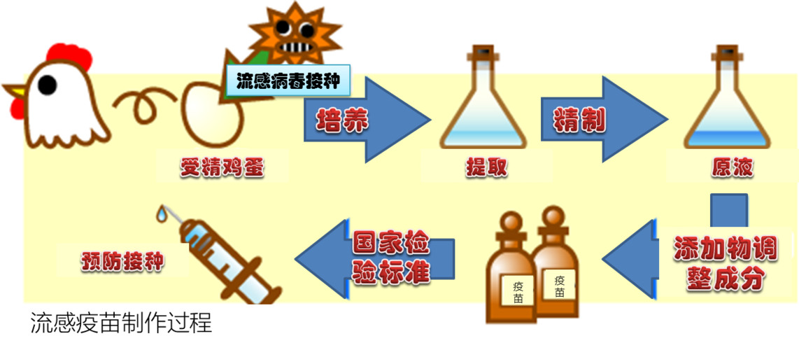 疫苗工作原理（疫苗原理通俗）